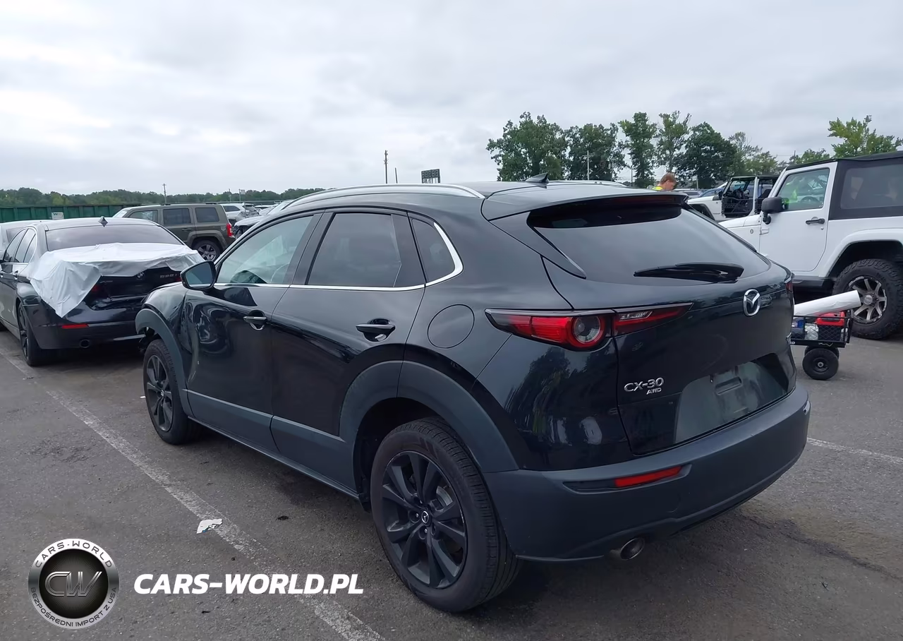 2021 Mazda Cx-30 2.5 Turbo Premium VIN:3MVDMBDY3MM306046 - 3