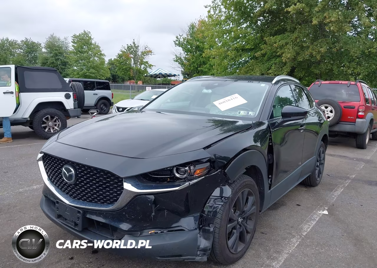 2021 Mazda Cx-30 2.5 Turbo Premium VIN:3MVDMBDY3MM306046 - 6