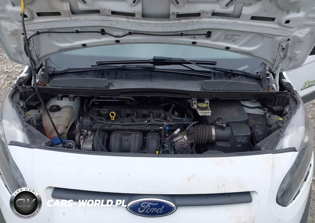2015 Ford Transit Connect Xl VIN:NM0LS7E72F1200691 - 10