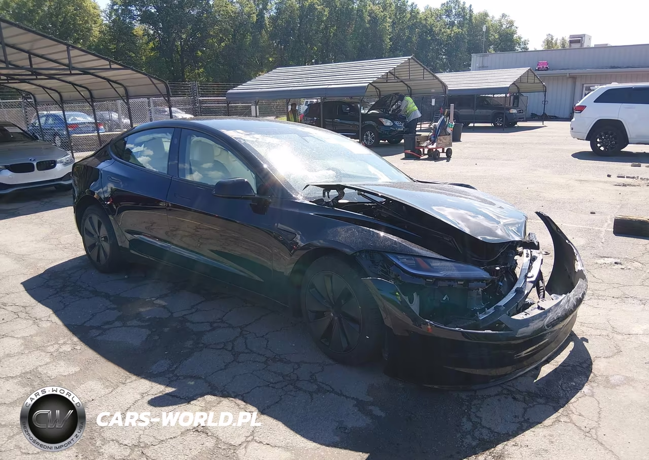 2025 Tesla Model 3 Long Range Rear-Wheel Drive-Standard Rear-Wheel Drive VIN:5YJ3E1EA1SF073257 - 1