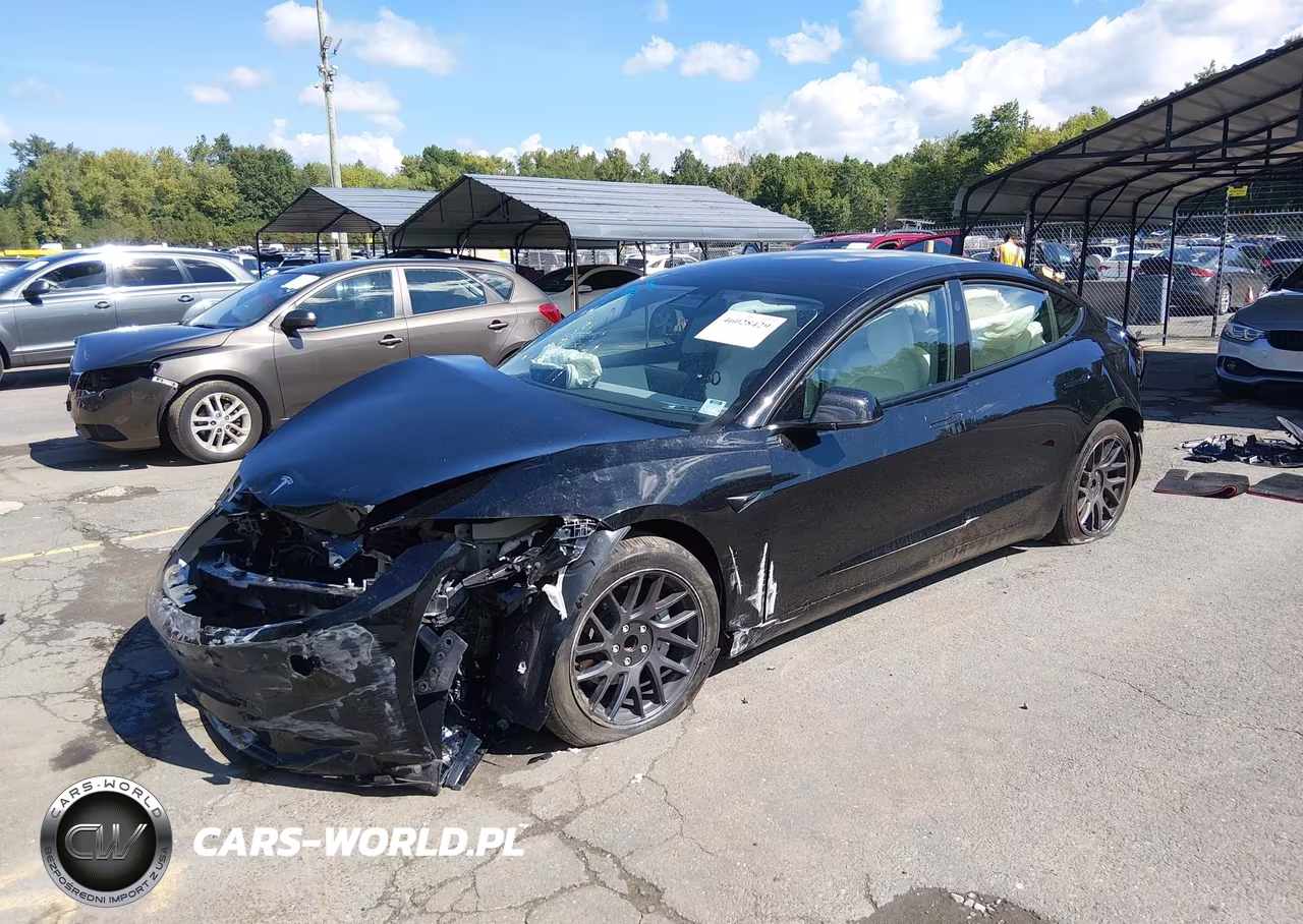 2025 Tesla Model 3 Long Range Rear-Wheel Drive-Standard Rear-Wheel Drive VIN:5YJ3E1EA1SF073257 - 2