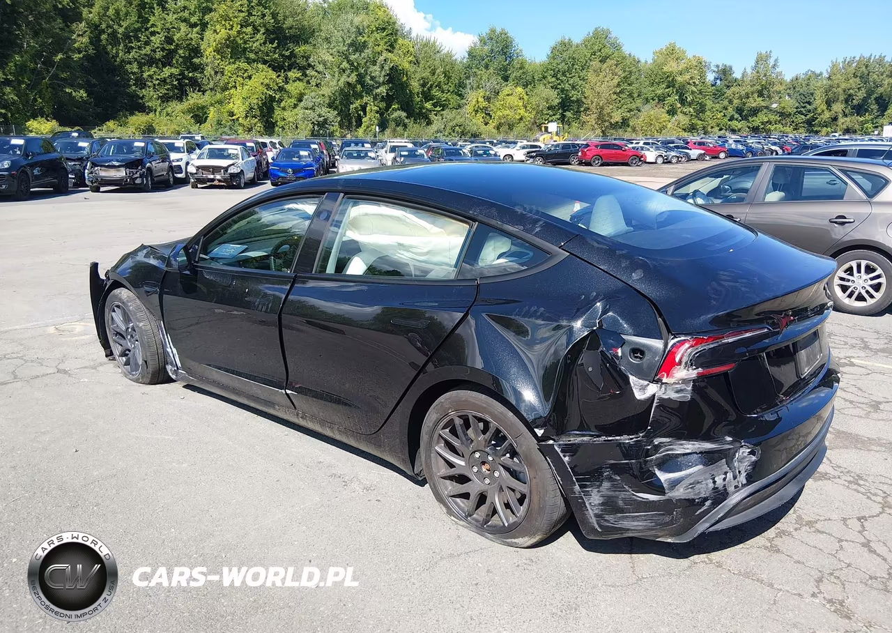 2025 Tesla Model 3 Long Range Rear-Wheel Drive-Standard Rear-Wheel Drive VIN:5YJ3E1EA1SF073257 - 3