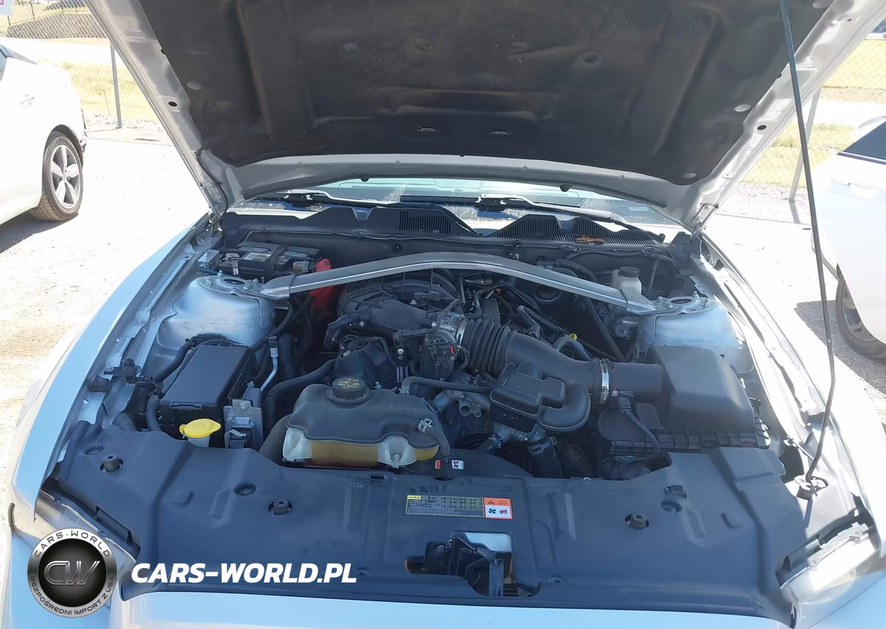 2014 Ford Mustang V6 Premium VIN:1ZVBP8AM3E5291430 - 10
