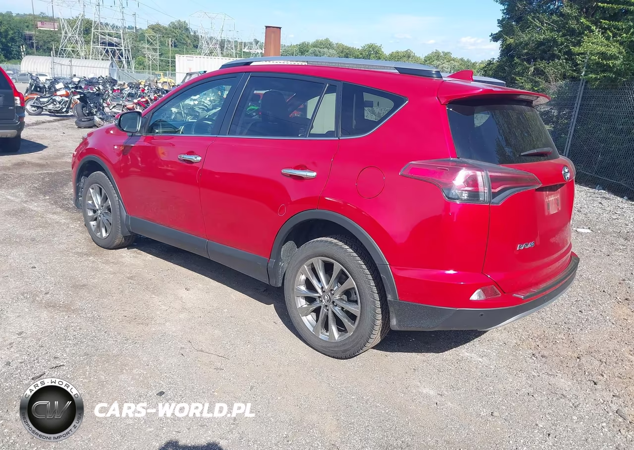 2017 Toyota Rav4 Limited VIN:JTMDFREV0HJ120945 - 3