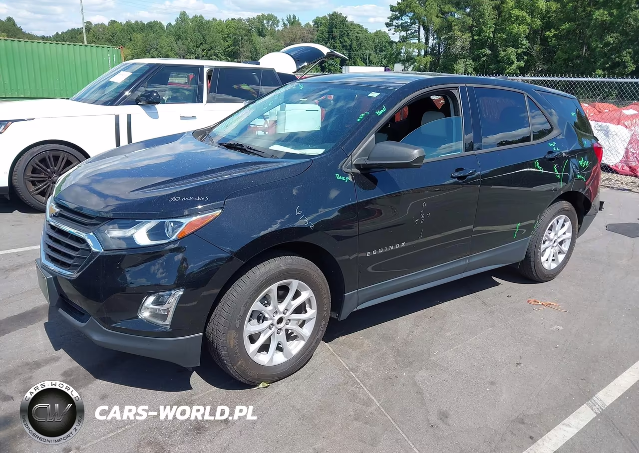 2019 Chevrolet Equinox Ls VIN:3GNAXSEV8KL349713 - 2