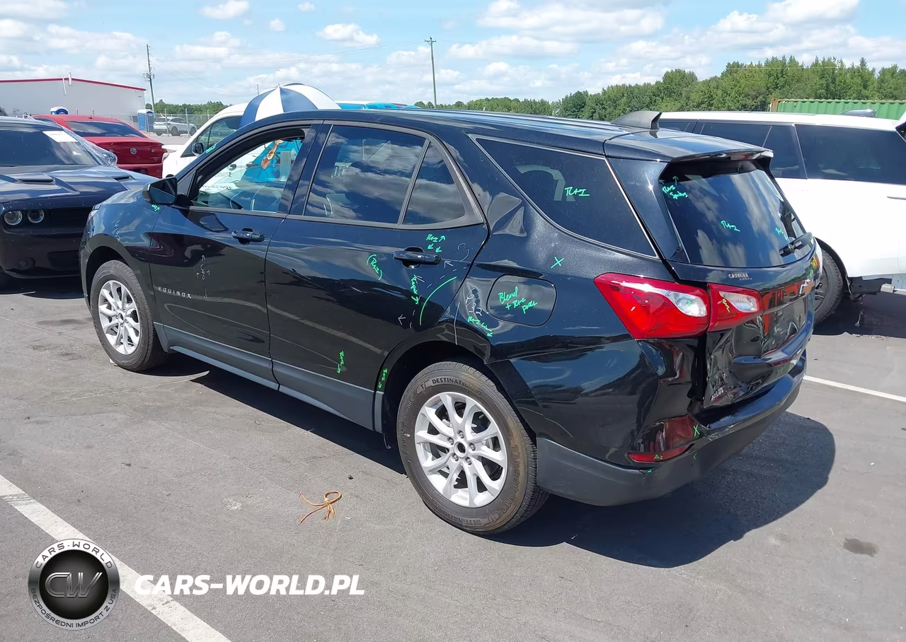 2019 Chevrolet Equinox Ls VIN:3GNAXSEV8KL349713 - 3