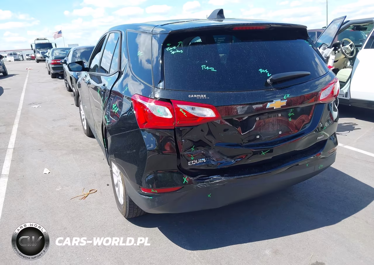 2019 Chevrolet Equinox Ls VIN:3GNAXSEV8KL349713 - 6