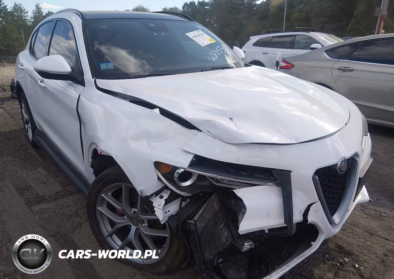 2019 Alfa Romeo Stelvio Ti Sport Awd VIN:ZASPAKBNXK7C41873 - 1