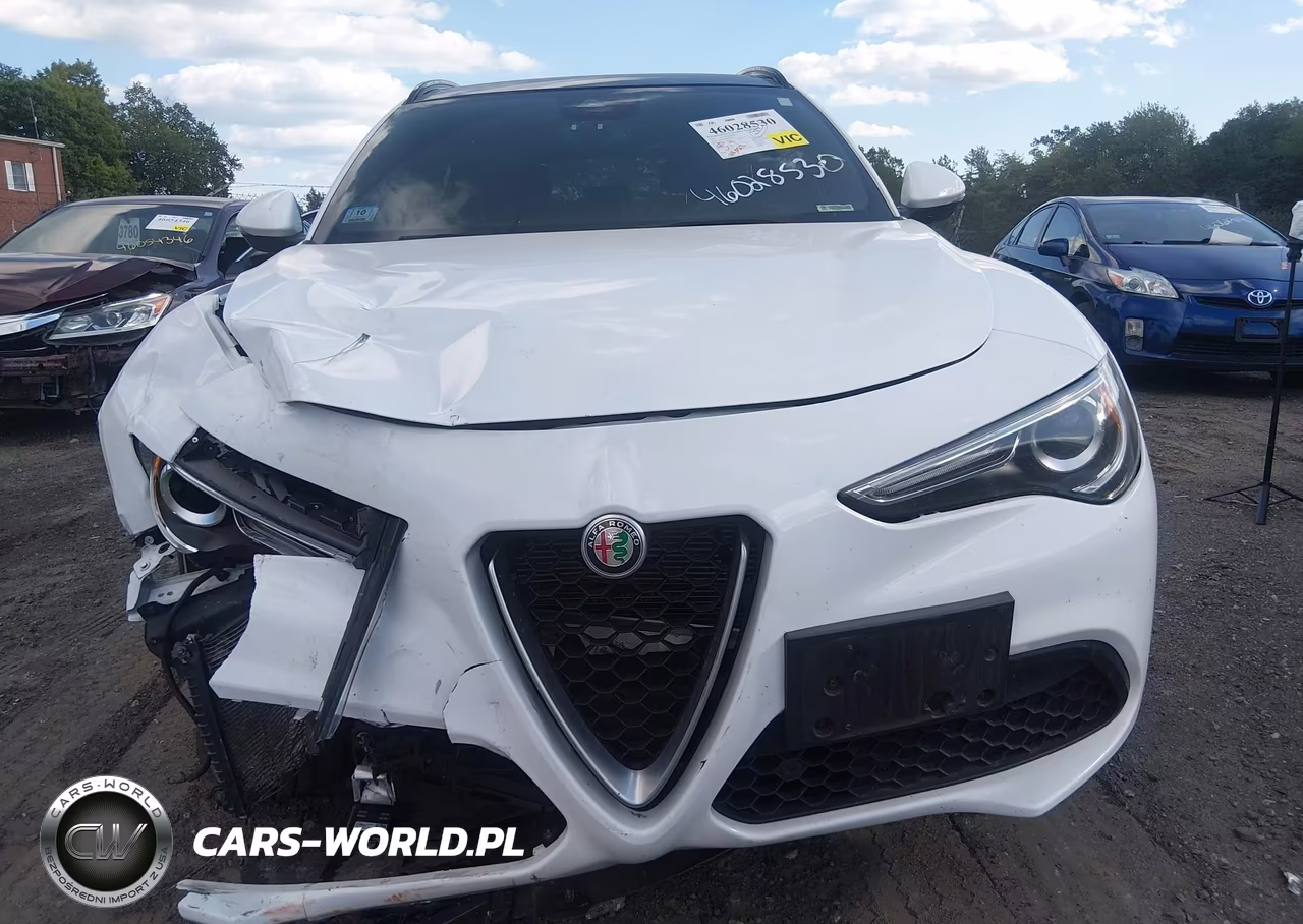 2019 Alfa Romeo Stelvio Ti Sport Awd VIN:ZASPAKBNXK7C41873 - 12