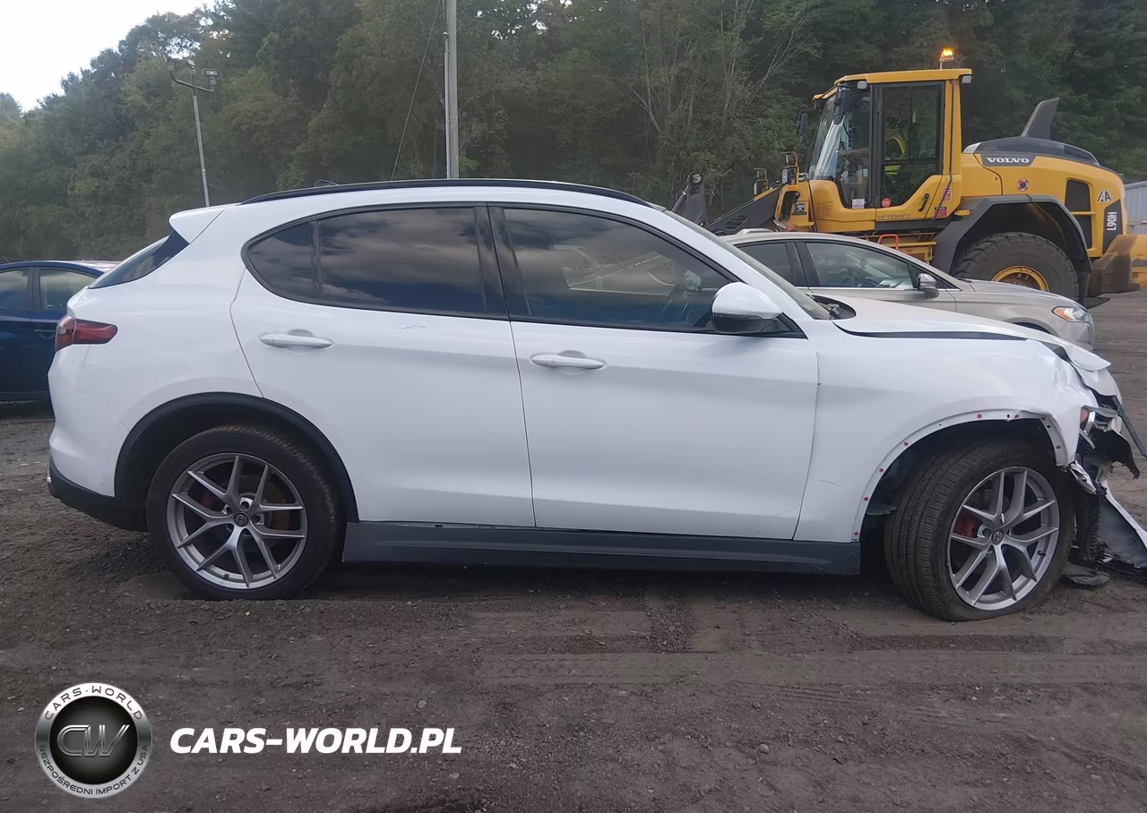 2019 Alfa Romeo Stelvio Ti Sport Awd VIN:ZASPAKBNXK7C41873 - 13