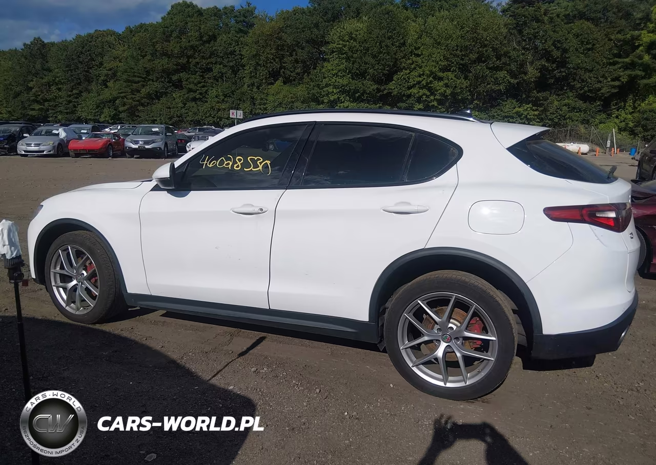 2019 Alfa Romeo Stelvio Ti Sport Awd VIN:ZASPAKBNXK7C41873 - 14