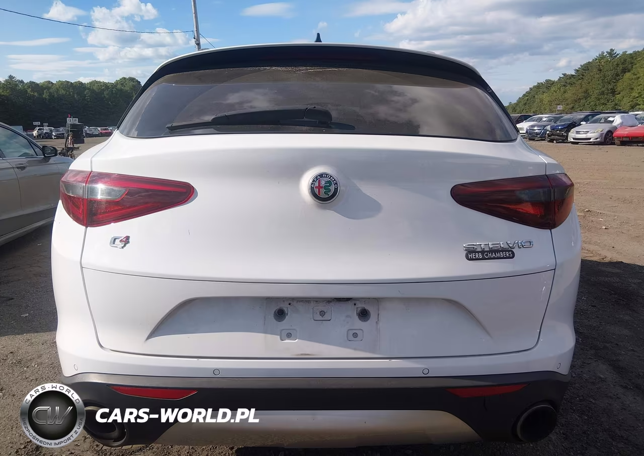 2019 Alfa Romeo Stelvio Ti Sport Awd VIN:ZASPAKBNXK7C41873 - 16