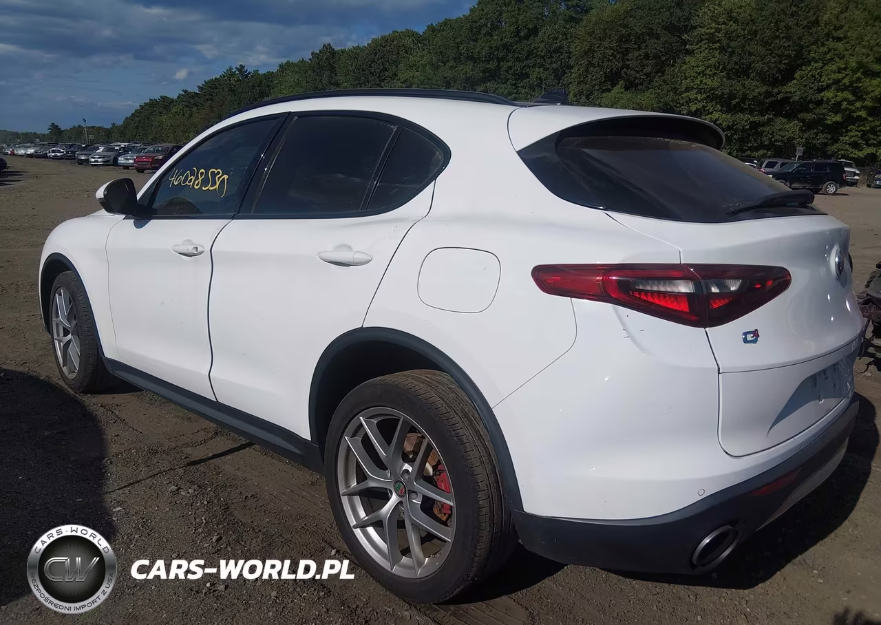 2019 Alfa Romeo Stelvio Ti Sport Awd VIN:ZASPAKBNXK7C41873 - 3