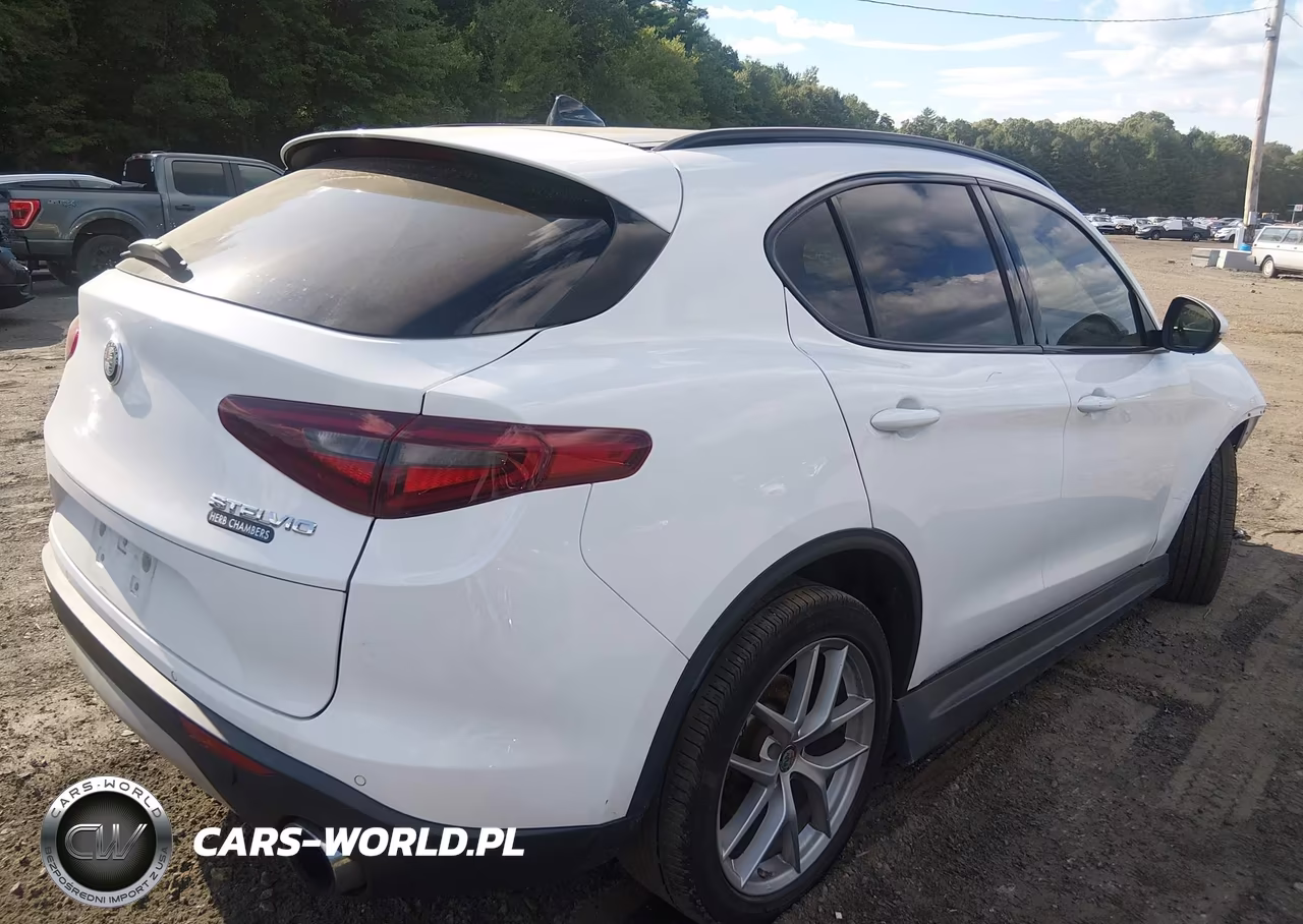 2019 Alfa Romeo Stelvio Ti Sport Awd VIN:ZASPAKBNXK7C41873 - 4