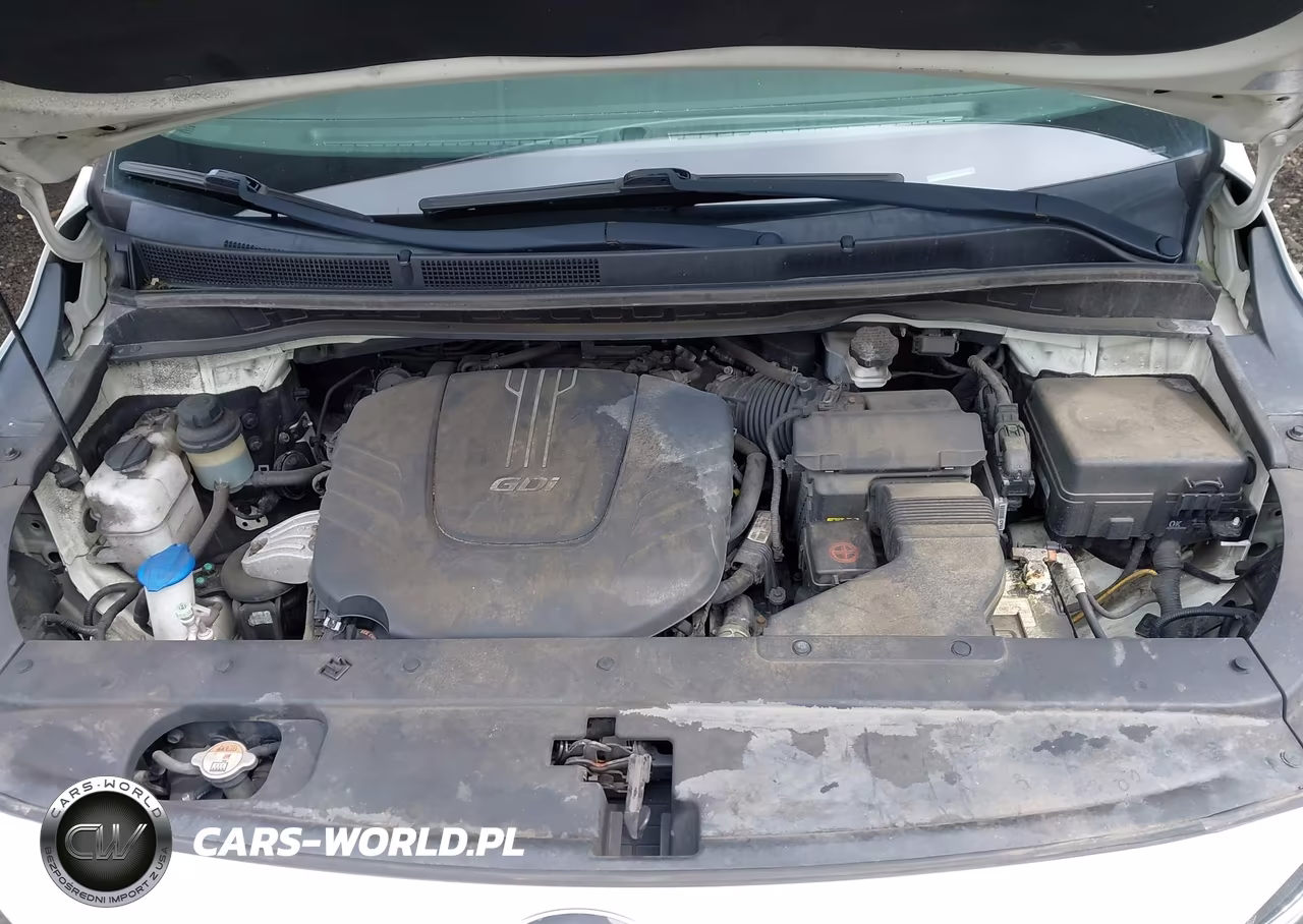2017 Kia Sedona Lx VIN:KNDMB5C1XH6241683 - 10