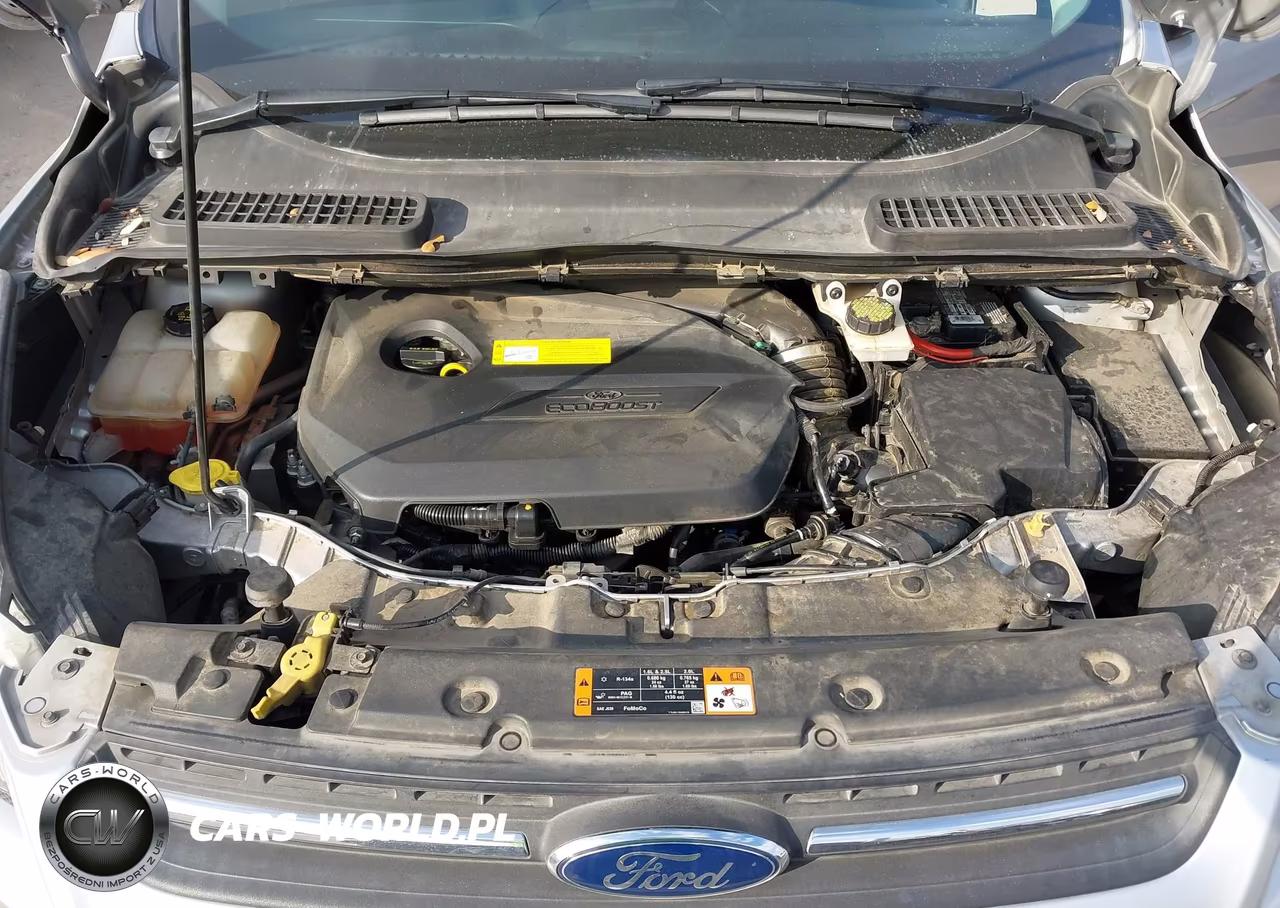 2015 Ford Escape Se VIN:1FMCU0GX5FUC24611 - 10