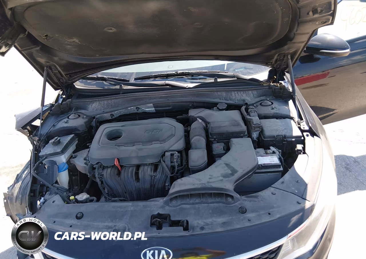 2016 Kia Optima Lx VIN:5XXGT4L39GG037527 - 10