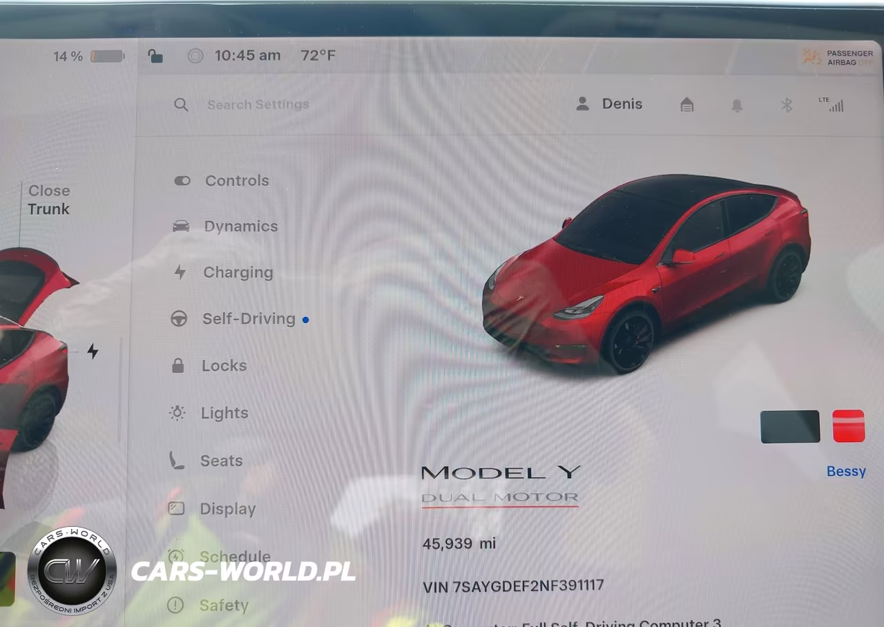 2022 Tesla Model Y Performance Dual Motor All-Wheel Drive VIN:7SAYGDEF2NF391117 - 15