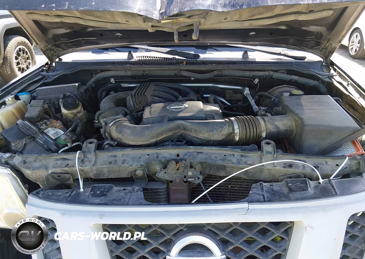 2010 Nissan Xterra Se VIN:5N1AN0NU3AC524787 - 10