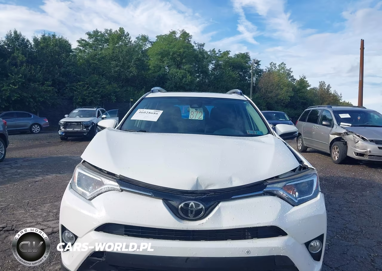 2016 Toyota Rav4 Xle VIN:JTMRFREV0GJ096179 - 13
