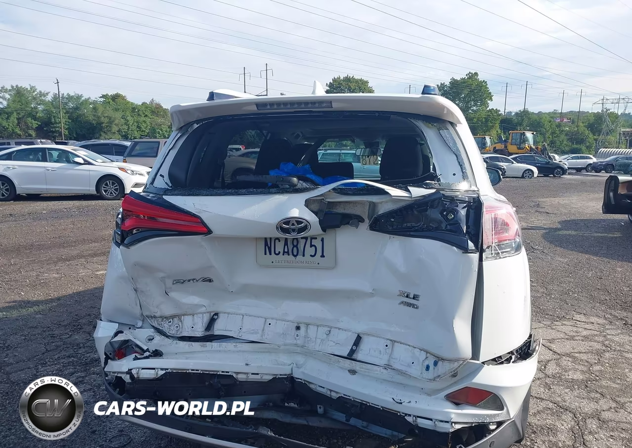 2016 Toyota Rav4 Xle VIN:JTMRFREV0GJ096179 - 17