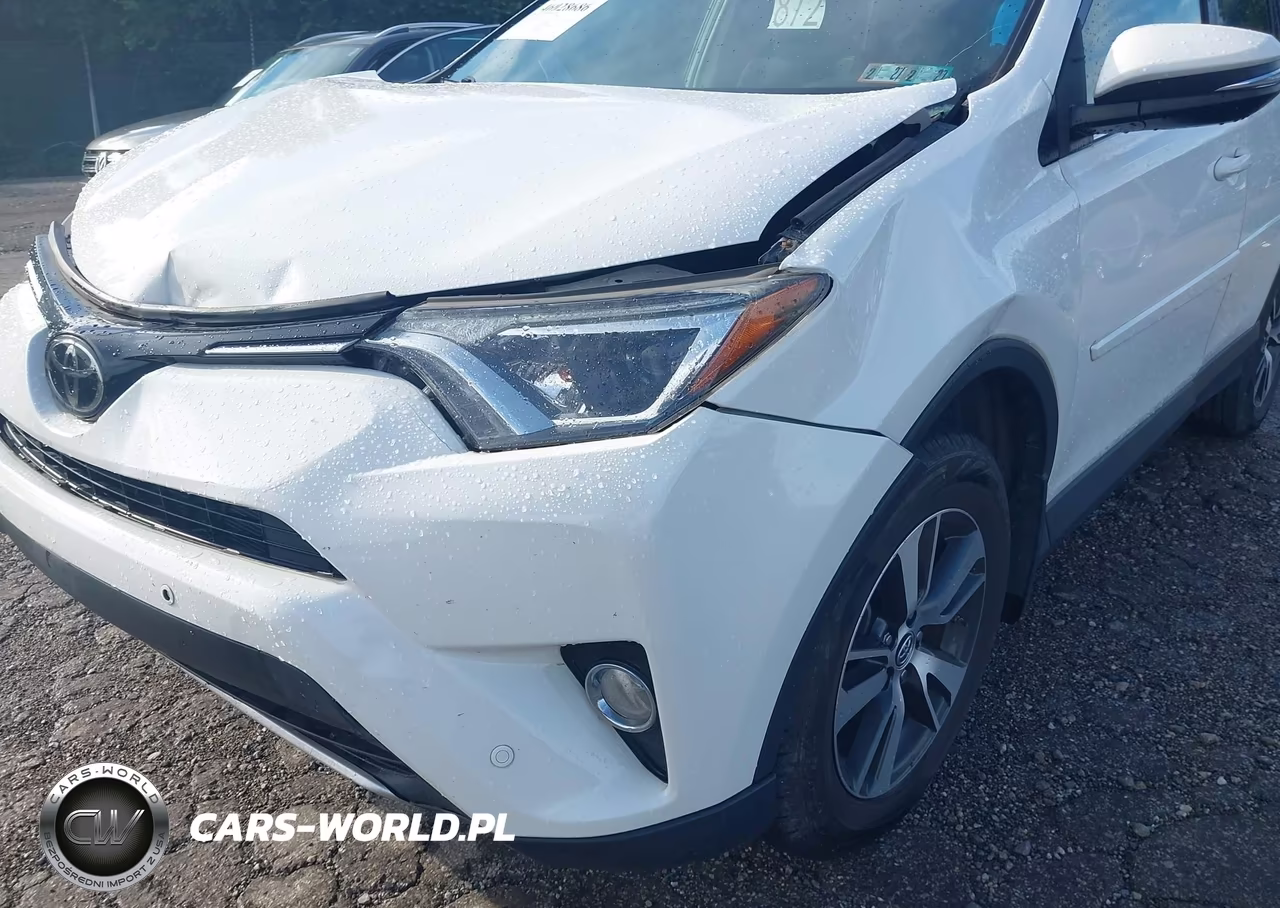 2016 Toyota Rav4 Xle VIN:JTMRFREV0GJ096179 - 6