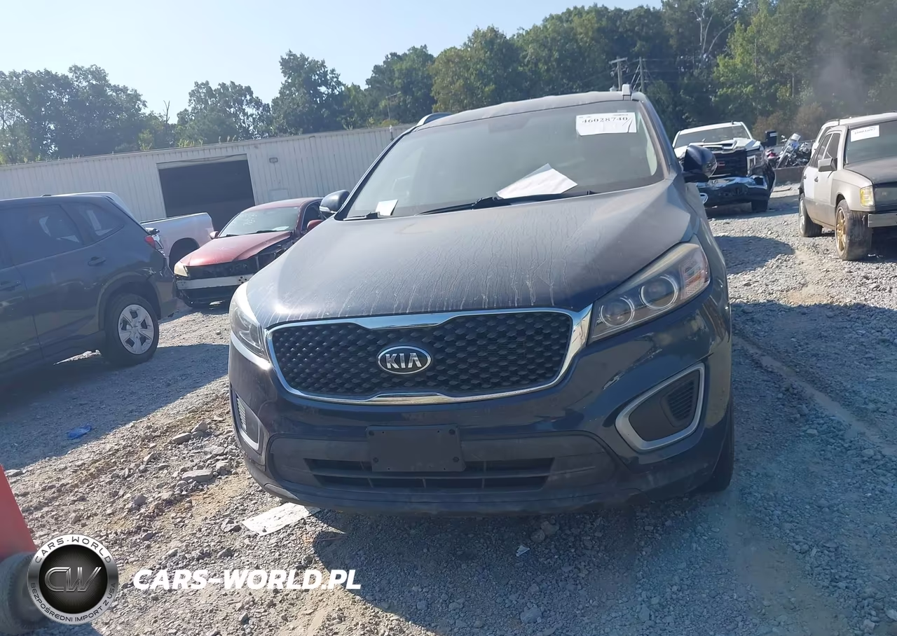 2016 Kia Sorento 3.3L Lx VIN:5XYPGDA50GG174828 - 12