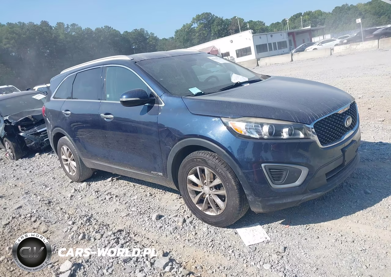 2016 Kia Sorento 3.3L Lx VIN:5XYPGDA50GG174828 - 13