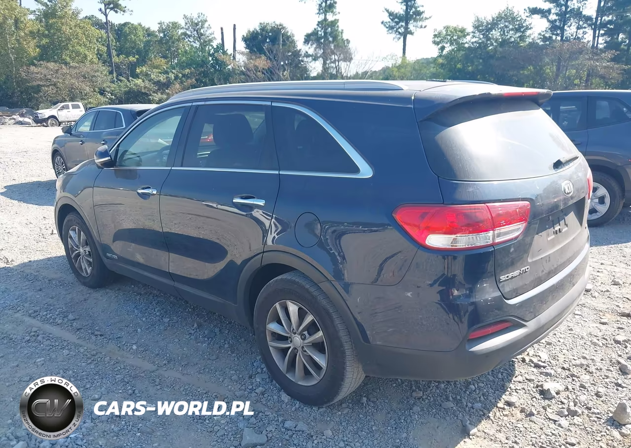 2016 Kia Sorento 3.3L Lx VIN:5XYPGDA50GG174828 - 14