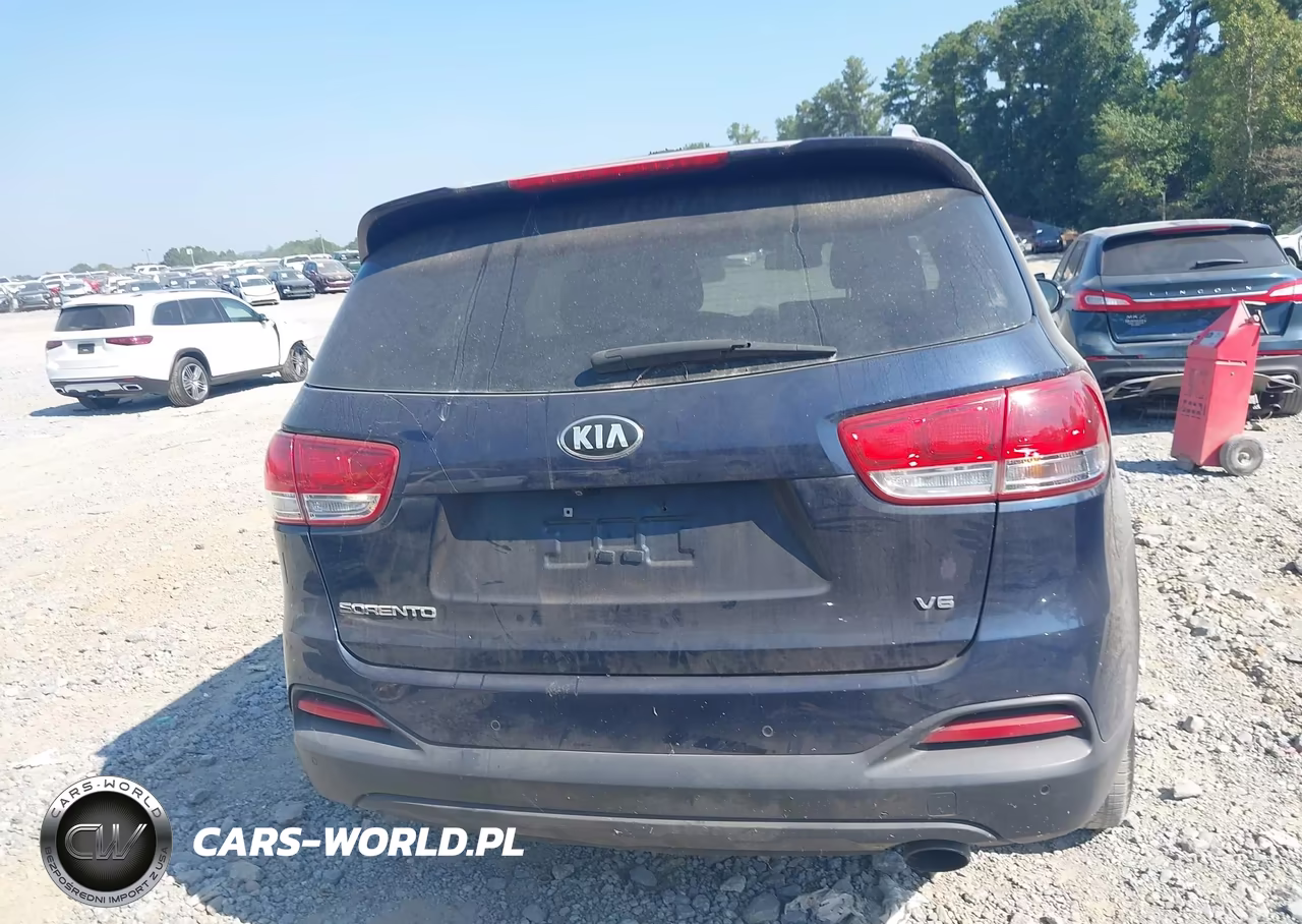 2016 Kia Sorento 3.3L Lx VIN:5XYPGDA50GG174828 - 16