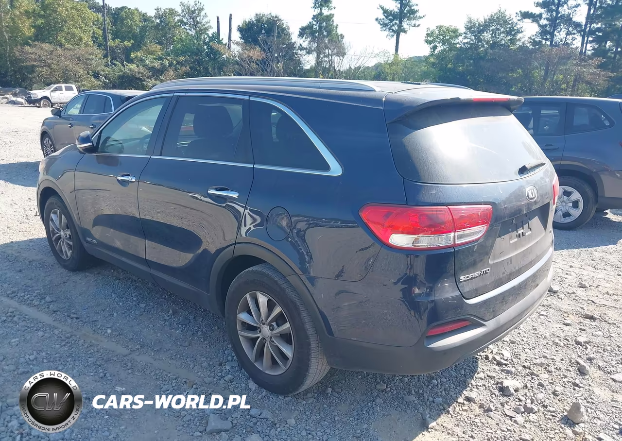 2016 Kia Sorento 3.3L Lx VIN:5XYPGDA50GG174828 - 3