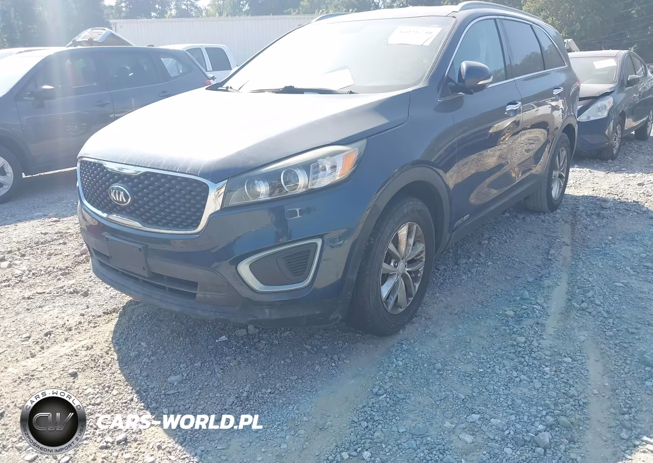 2016 Kia Sorento 3.3L Lx VIN:5XYPGDA50GG174828 - 6