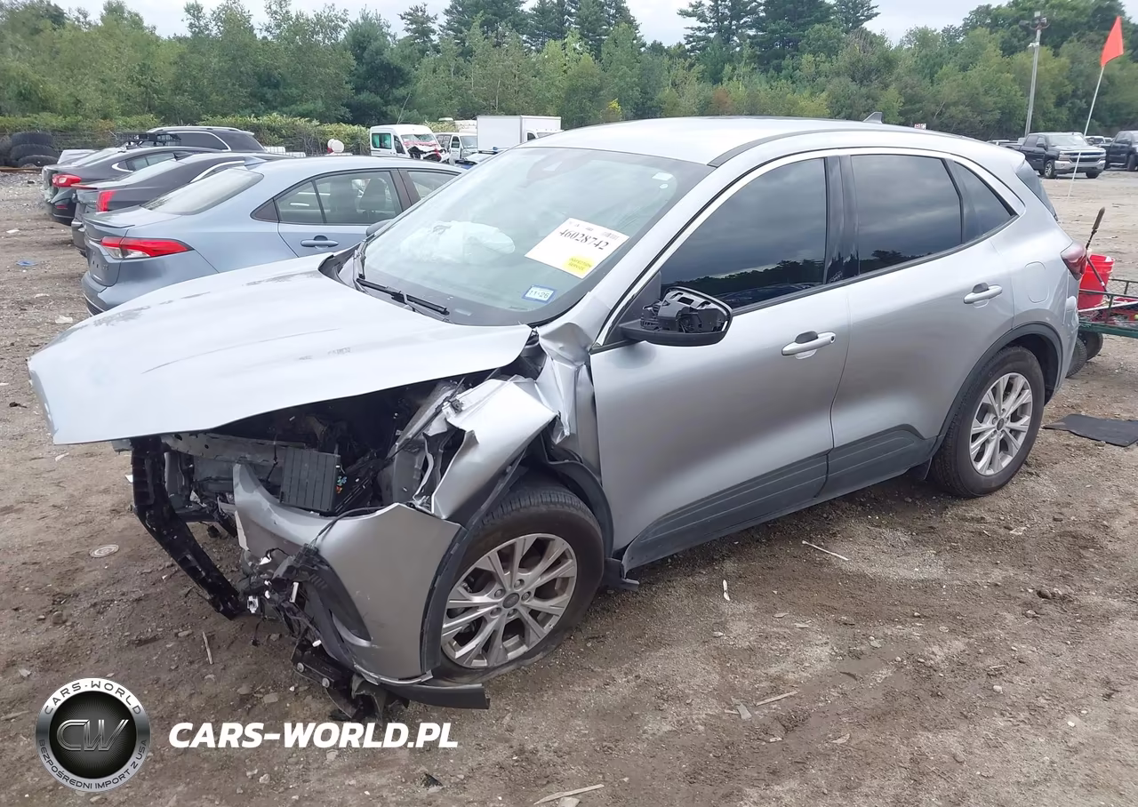 2024 Ford Escape Active VIN:1FMCU0GN7RUB11102 - 2