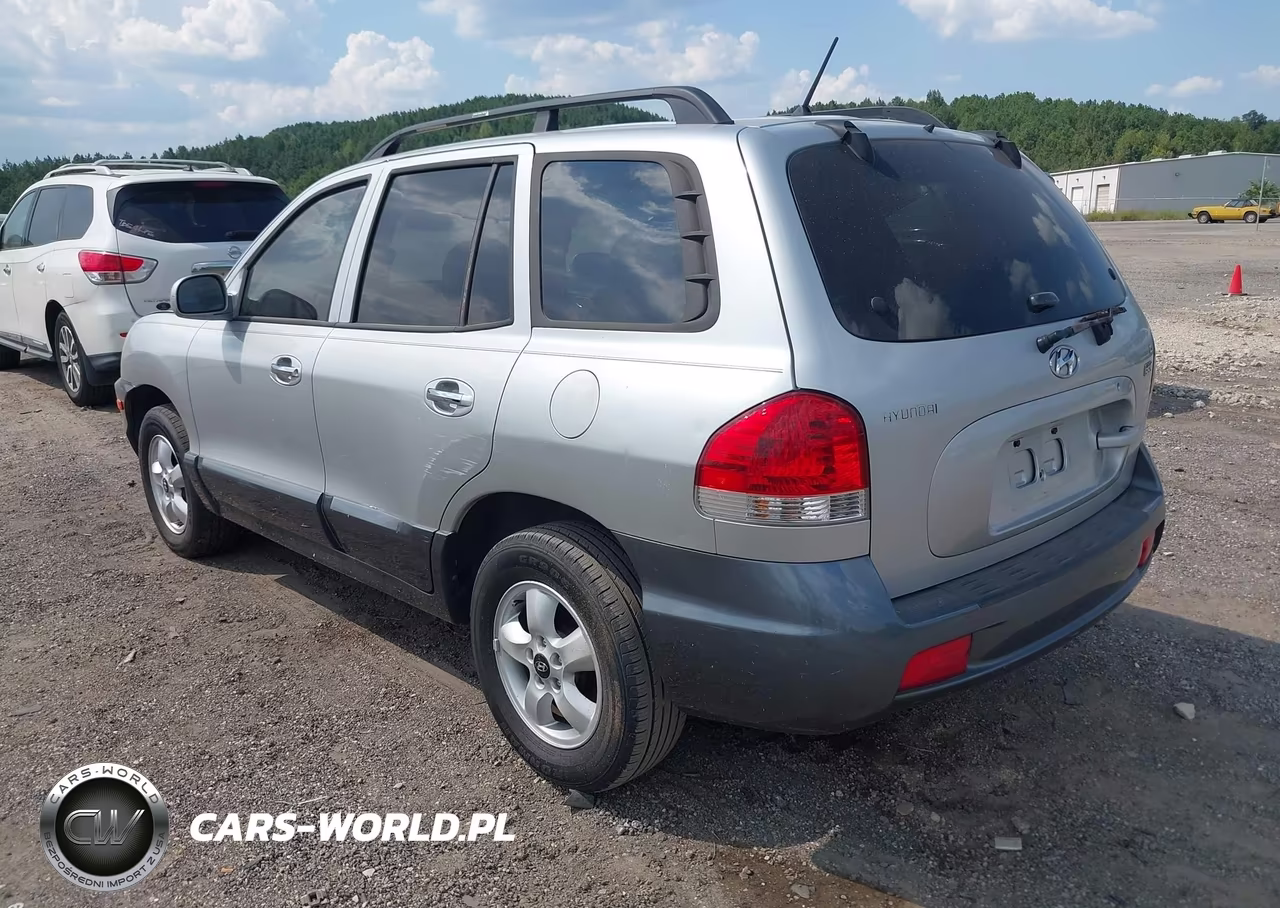 2005 Hyundai Santa Fe Gls-Lx VIN:KM8SC13E15U941630 - 3