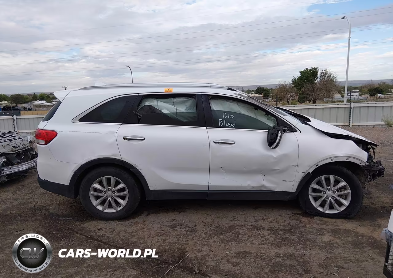 2017 Kia Sorento 2.4L Lx VIN:5XYPG4A35HG212652 - 13