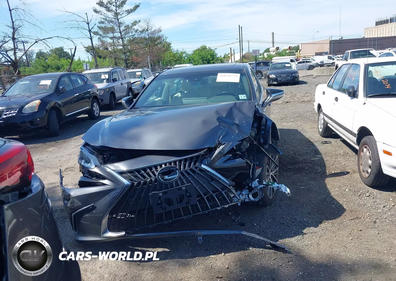 2025 Lexus Es 300H VIN:58ADA1C14SU068892 - 12