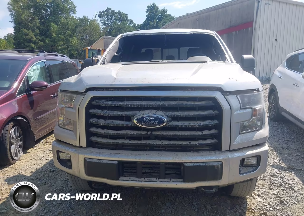 2017 Ford F-150 Xlt VIN:1FTEW1EP7HFB51636 - 12