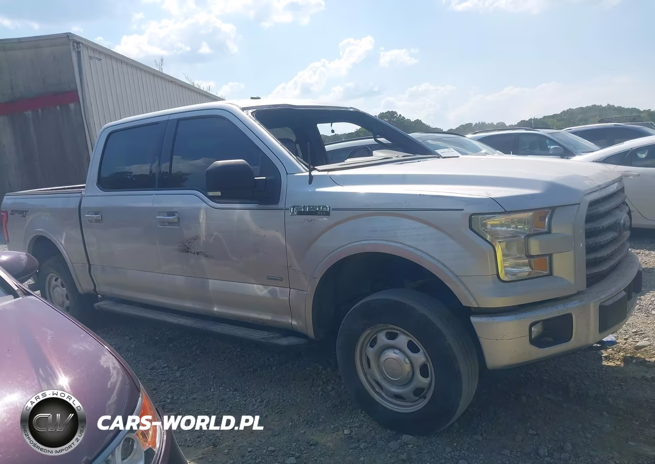 2017 Ford F-150 Xlt VIN:1FTEW1EP7HFB51636 - 13