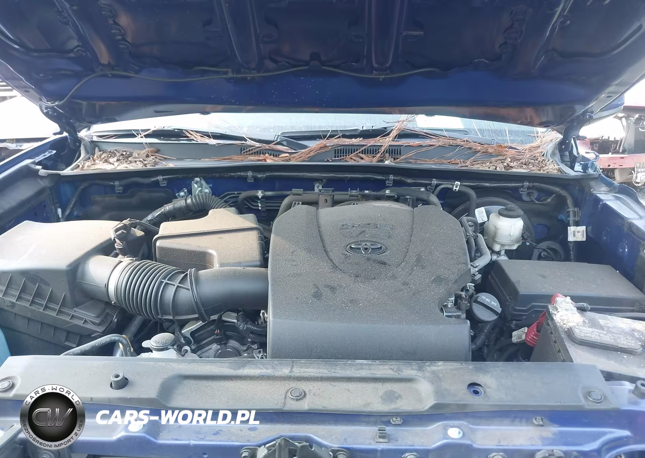 2022 Toyota Tacoma Sr5 V6 VIN:3TMAZ5CN2NM165745 - 10