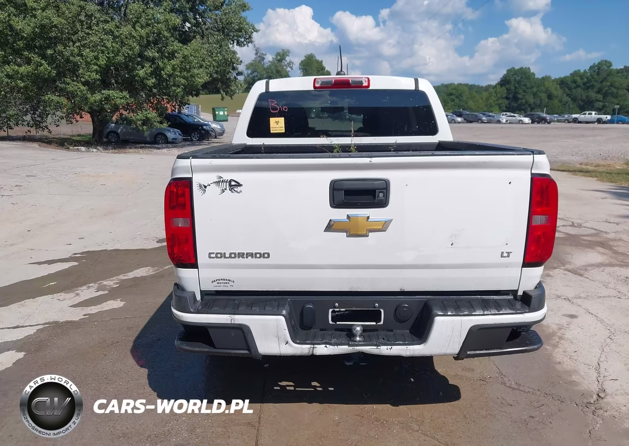 2016 Chevrolet Colorado 2Wd Lt VIN:1GCGSCEAXG1275262 - 15