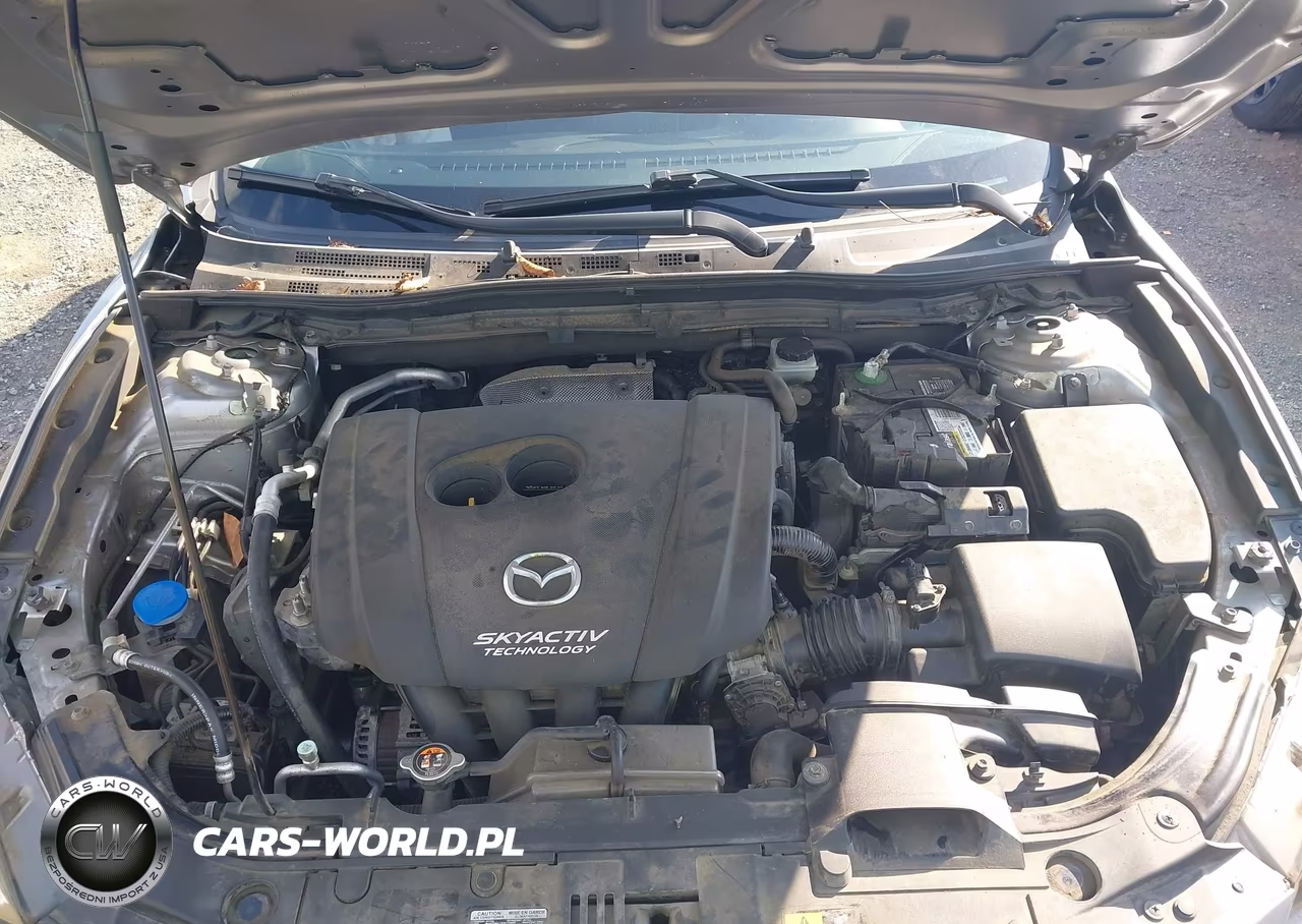 2014 Mazda Mazda3 I Touring VIN:JM1BM1L74E1105024 - 10
