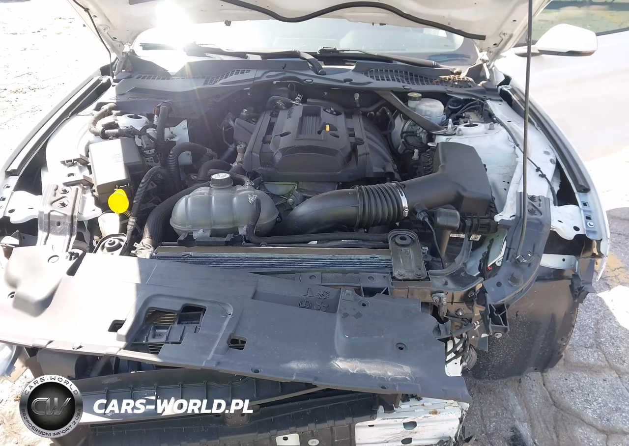 2018 Ford Mustang Ecoboost Premium VIN:1FATP8UH4J5138772 - 10