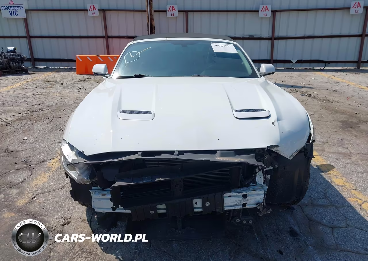 2018 Ford Mustang Ecoboost Premium VIN:1FATP8UH4J5138772 - 12