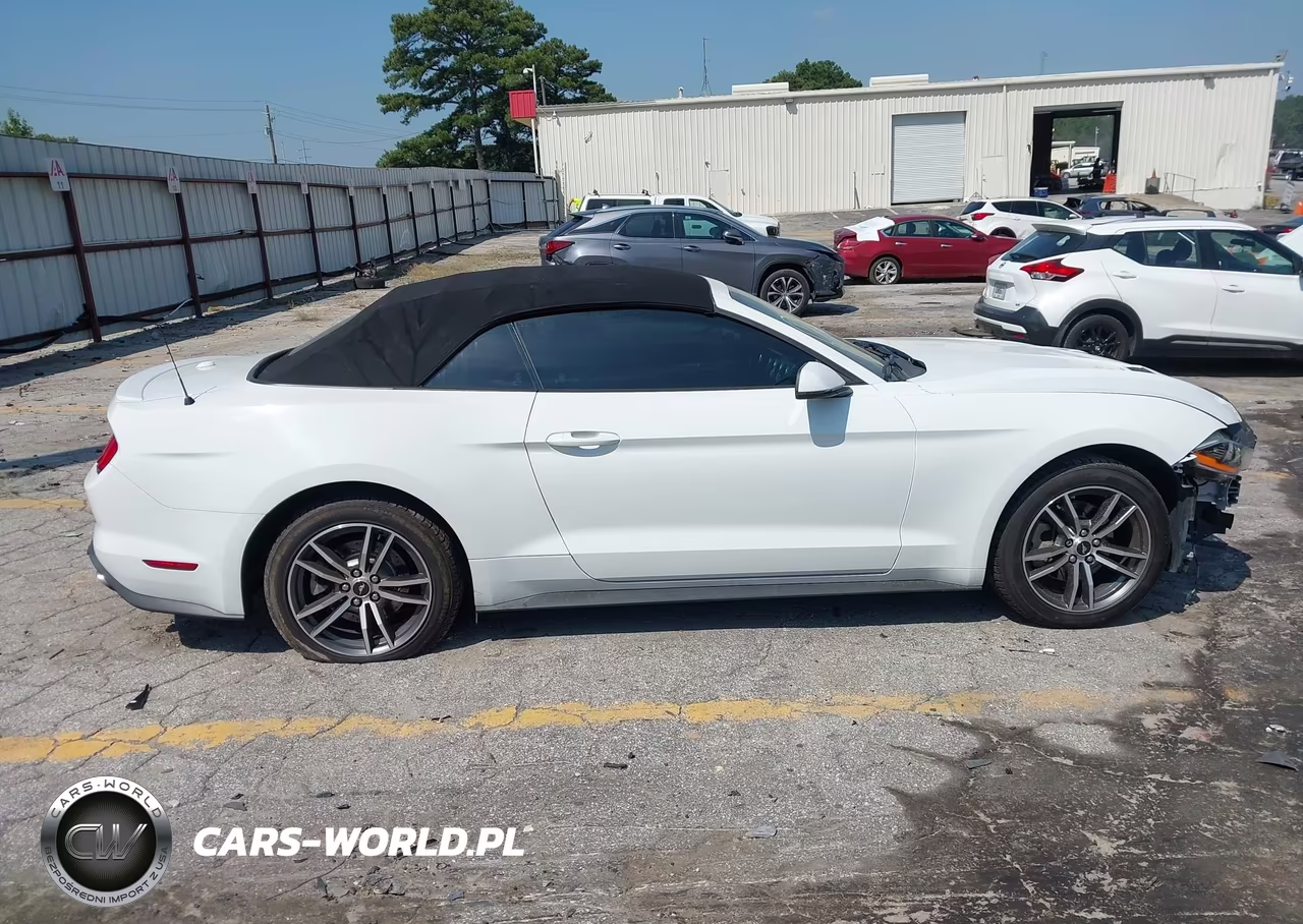 2018 Ford Mustang Ecoboost Premium VIN:1FATP8UH4J5138772 - 13
