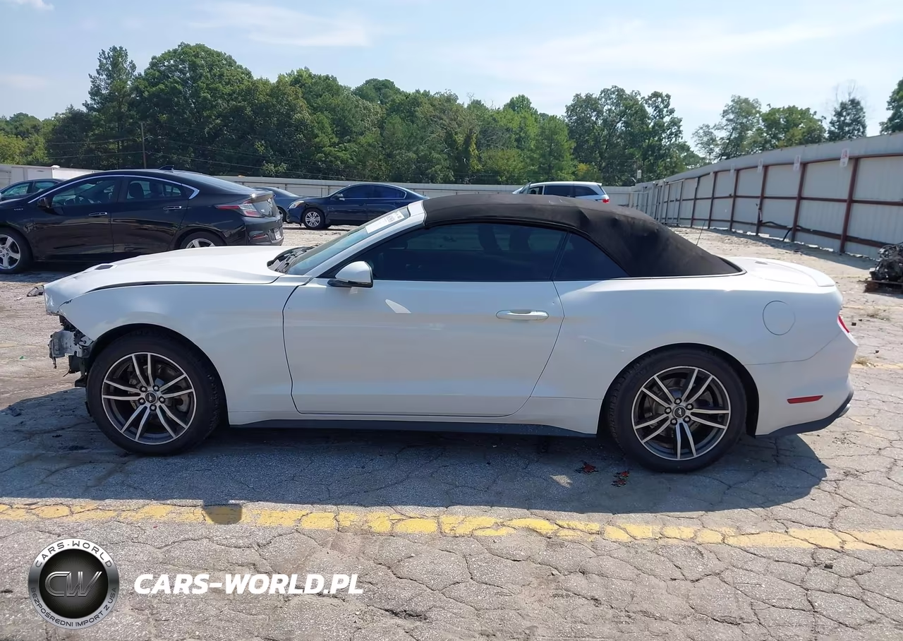 2018 Ford Mustang Ecoboost Premium VIN:1FATP8UH4J5138772 - 14