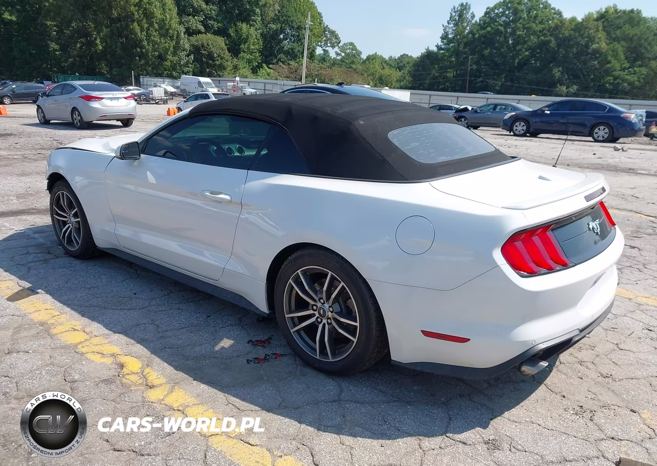 2018 Ford Mustang Ecoboost Premium VIN:1FATP8UH4J5138772 - 3