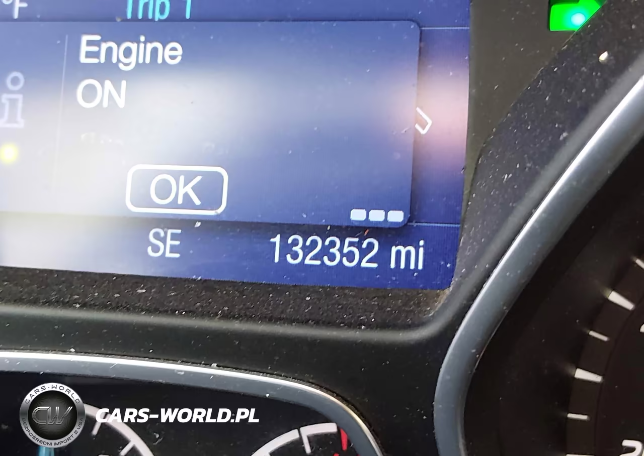 2014 Ford Focus Se VIN:1FADP3K20EL199768 - 16