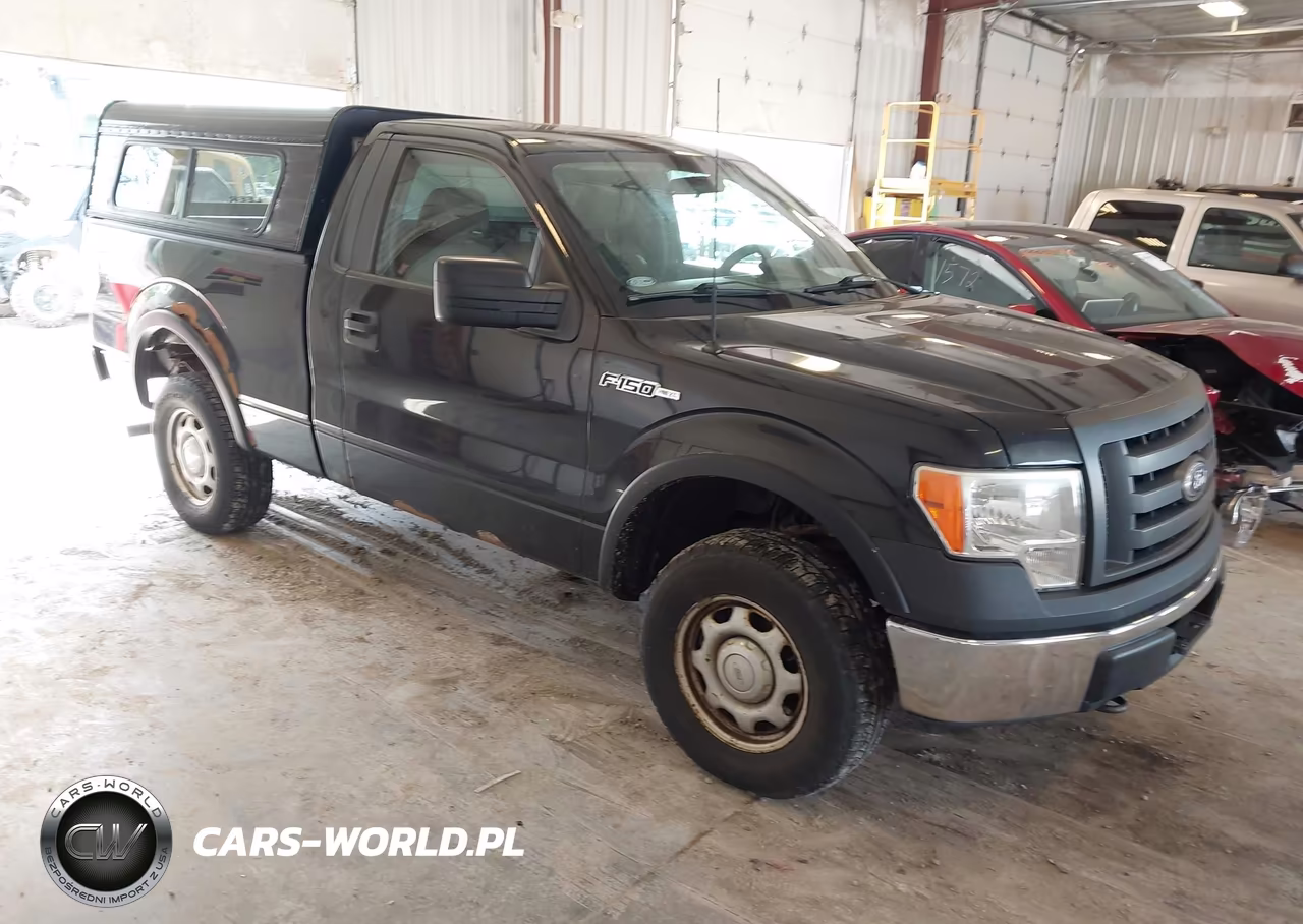2010 Ford F-150 Stx-Xl-Xlt – zdjęcie 1 z 11