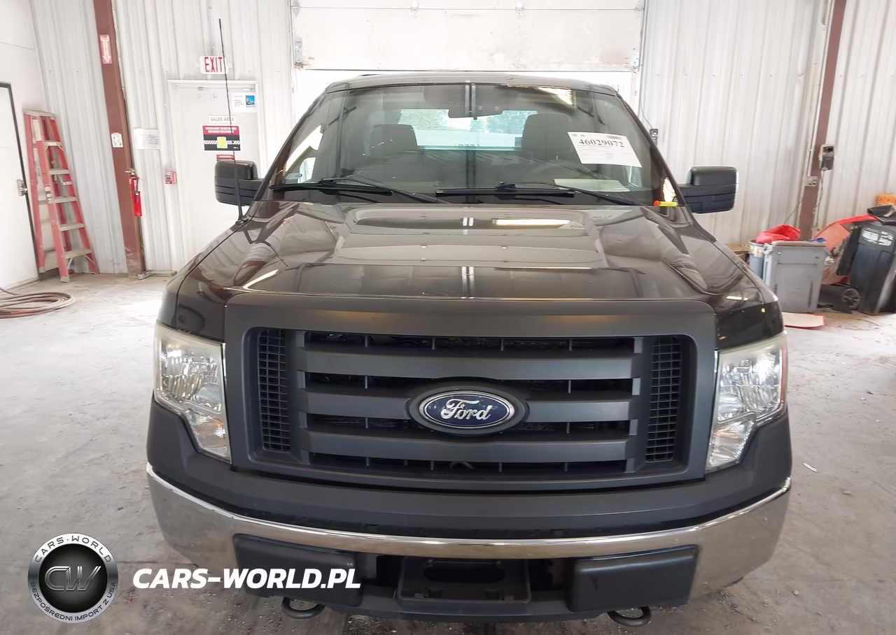 2010 Ford F-150 Stx-Xl-Xlt VIN:1FTMF1EW9AKB22803 - 6