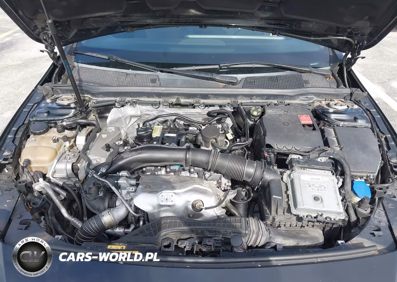 2020 Mercedes-Benz Cla 250 VIN:W1K5J4GB5LN081057 - 10